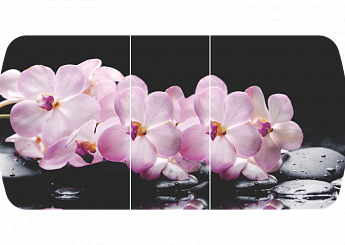 Розовая орхидея Бостон-3 (Брифинг-хром) 