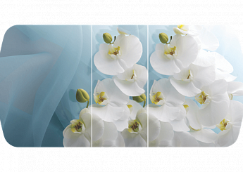 Белая орхидея Бостон-3 (Триумф-хром) 