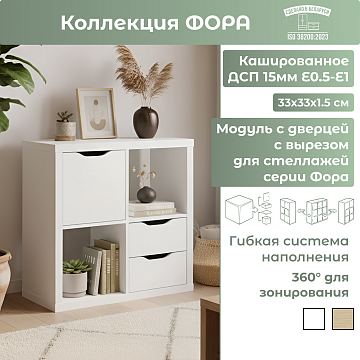Модуль с дверцей с вырезом