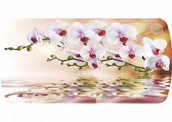 Орхидея на воде Бостон-3 (Брифинг-хром) 