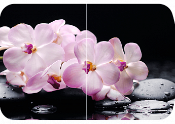 Розовая орхидея Бостон-2 (Триумф-хром) 
