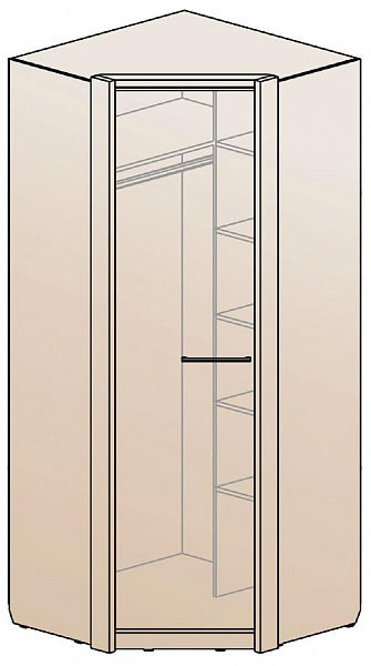 Шкаф для одежды угловой ШК-1219