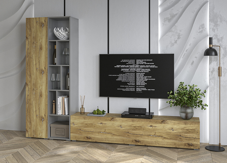 Neo-9 Дуб Нокс/Серебро