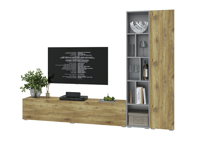 Neo-9 Дуб Нокс/Серебро