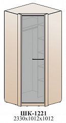 Угловой шкаф (комбинированный) ШК-1221